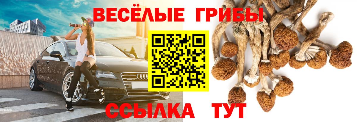 Псилоцибиновые грибы Cubensis Кстово