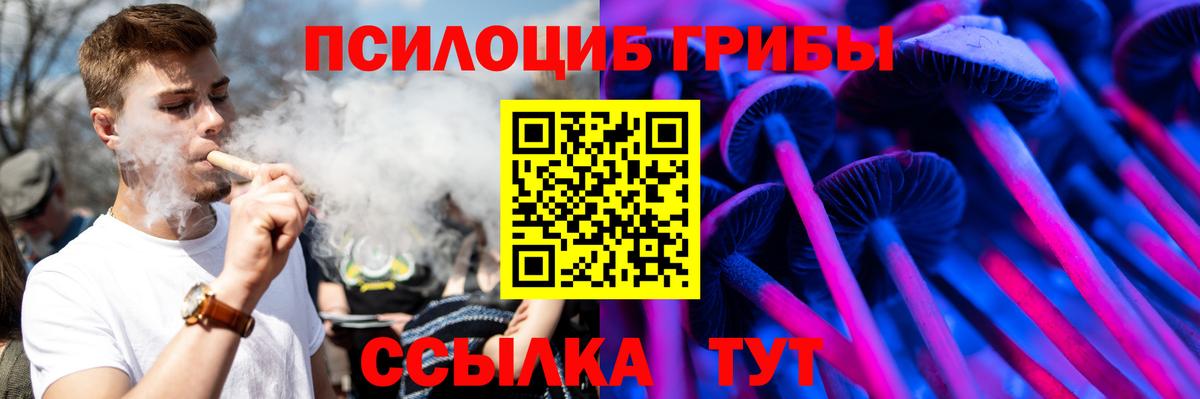 Кстово  Псилоцибиновые грибы Cubensis  Вход с VPN  Галлюциногенные грибы Cubensis 